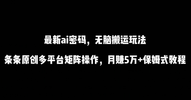 最新ai流量密码，傻瓜式搬运玩法，条条原创，多平台矩阵操作，月赚5万+保姆式教程【揭秘】-第一资源站
