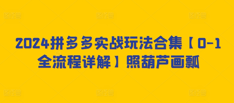 2024拼多多实战玩法合集【0-1全流程详解】照葫芦画瓢-第一资源站