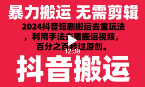 2024最新抖音搬运技术，抖音短剧视频去重，手法搬运，利用工具去重，达到秒过原创的效果【揭秘】-第一资源站