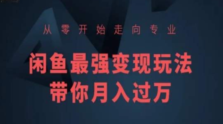 从零开始走向专业，闲鱼最强变现玩法带你月入过万-第一资源站