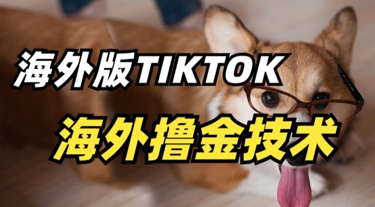 抖音海外版tiktok撸金技术，这个风口行业，赚钱真的不难【揭秘】-第一资源站