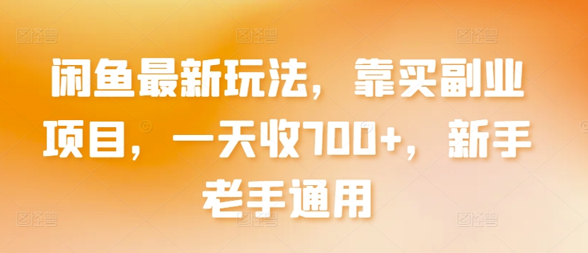 闲鱼最新玩法，靠买副业项目，一天收700+，新手老手通用【揭秘】-第一资源站