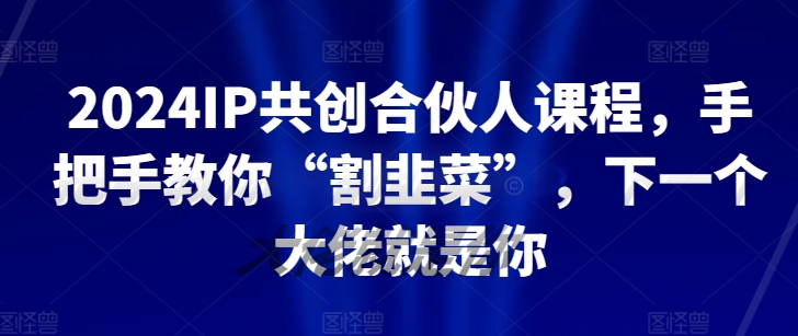 2024IP共创合伙人课程，手把手教你“割韭菜”，下一个大佬就是你-第一资源站