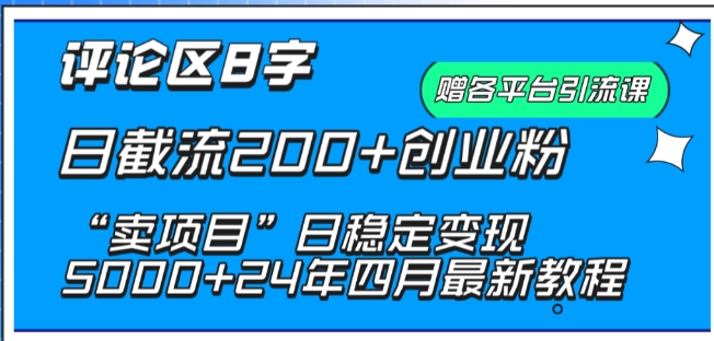 抖音评论区8字日截流200+创业粉 “卖项目”日稳定变现5000+【揭秘】-第一资源站