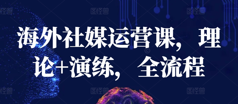 海外社媒运营课，理论+演练，全流程-第一资源站