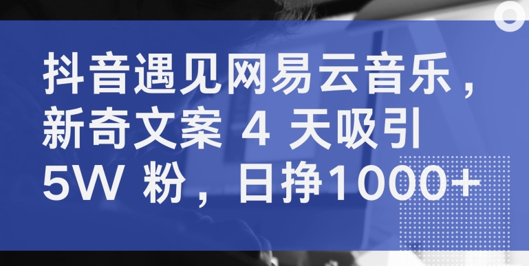 抖音遇见网易云音乐，新奇文案 4 天吸引 5W 粉，日挣1000+【揭秘】-第一资源站