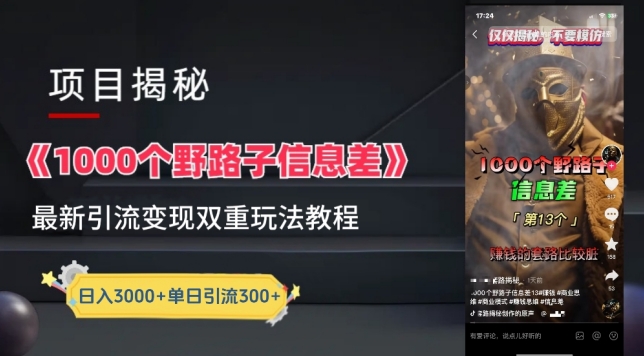 一千个野路子信息差最新玩法教程-变现+引流的玩法具体拆解【揭秘】-第一资源站