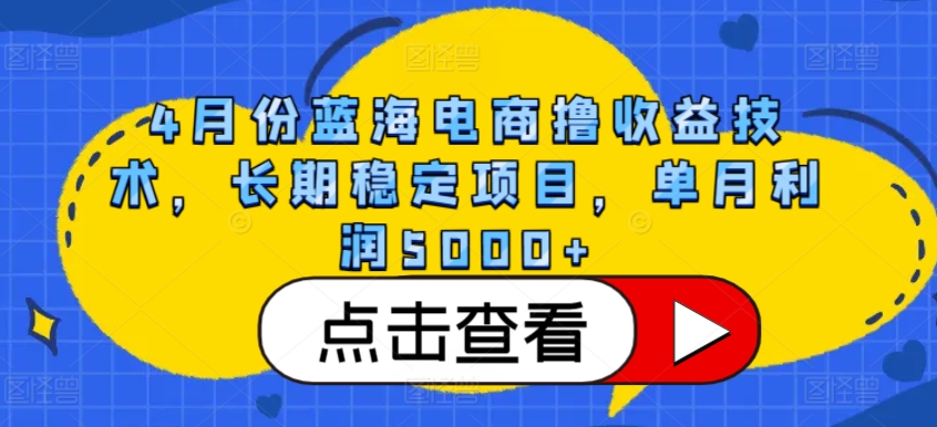 4月份蓝海电商撸收益技术，长期稳定项目，单月利润5000+【揭秘】-第一资源站