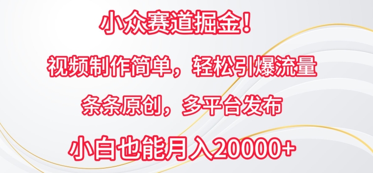 小众赛道掘金，视频制作简单，轻松引爆流量，条条原创，多平台发布【揭秘】-第一资源站