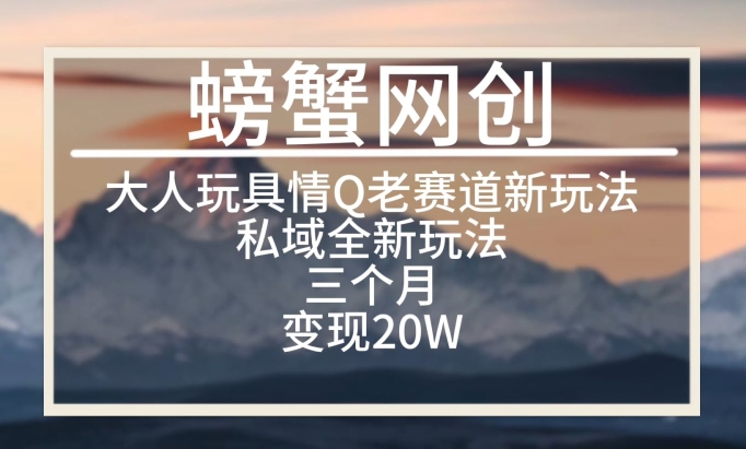 大人玩具情Q用品赛道私域全新玩法，三个月变现20W，老项目新思路【揭秘】-第一资源站
