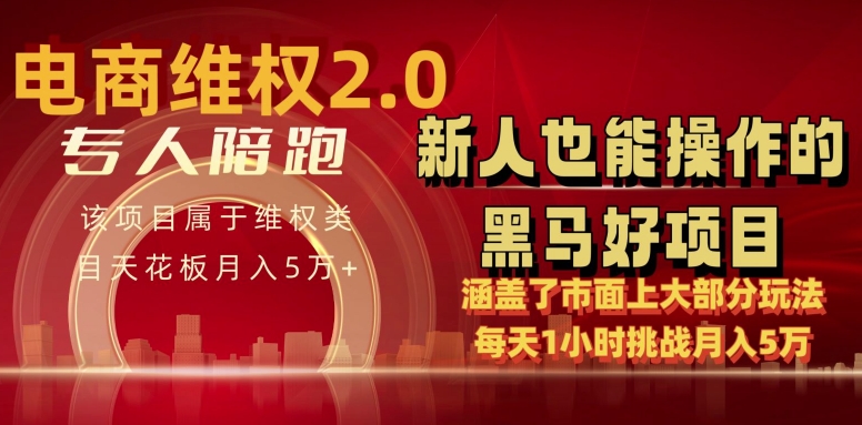 电商维权 4.0 如何做到月入 5 万+每天 1 小时新人也能快速上手【仅揭秘】-第一资源站