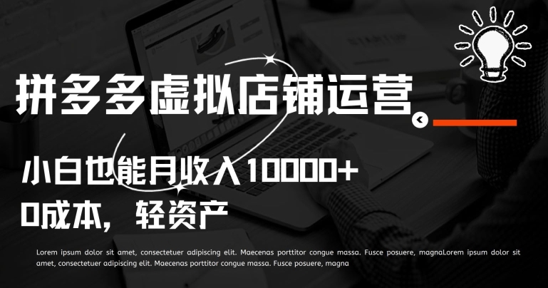 拼多多虚拟店铺运营小白也能月收入10000+【揭秘】-第一资源站