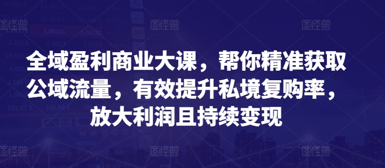 全域盈利商业大课，帮你精准获取公域流量，有效提升私境复购率，放大利润且持续变现-第一资源站