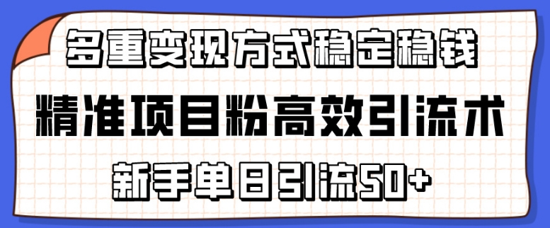 精准项目粉高效引流术，新手单日引流50+，多重变现方式稳定赚钱【揭秘】-第一资源站
