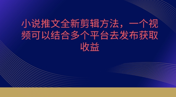 小说推文全新剪辑方法，一个视频可以结合多个平台去发布获取【揭秘】-第一资源站
