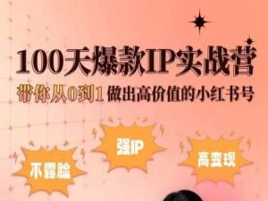 小红书100天爆款IP实战营，带你从0到1做出高价值的小红书号-第一资源站