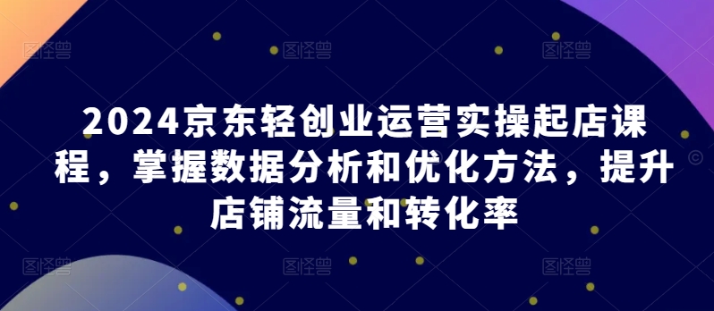 2024京东轻创业运营实操起店课程，掌握数据分析和优化方法，提升店铺流量和转化率-第一资源站