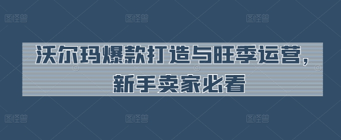 沃尔玛爆款打造与旺季运营，新手卖家必看-第一资源站