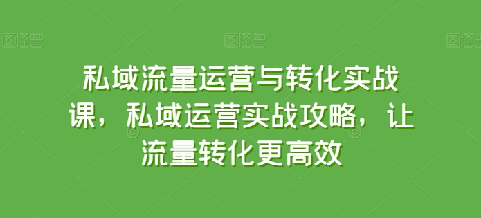私域流量运营与转化实战课，私域运营实战攻略，让流量转化更高效-第一资源站