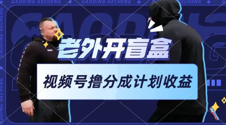 老外开盲盒视频，撸视频号分成计划收益，每天只需一小时，新手小白轻松上手【揭秘】-第一资源站