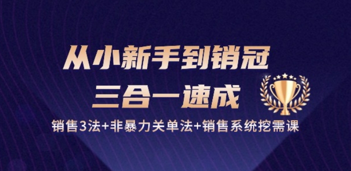 从小新手到销冠 三合一速成：销售3法+非暴力关单法+销售系统挖需课 (27节)-第一资源站