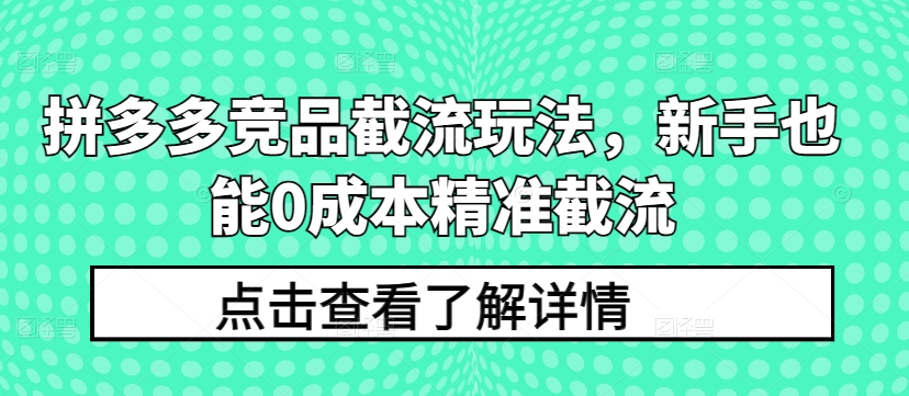 拼多多竞品截流玩法，新手也能0成本精准截流-第一资源站