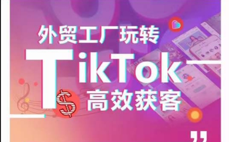 外贸工厂玩转TikTok高效获客，多种引流方式与账号定位技巧，拆解爆款短视频打造成功案例-第一资源站