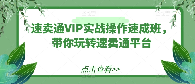 速卖通VIP实战操作速成班，带你玩转速卖通平台-第一资源站