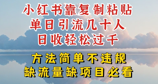 小红书靠复制粘贴单日引流几十人目收轻松过千，方法简单不违规【揭秘】-第一资源站