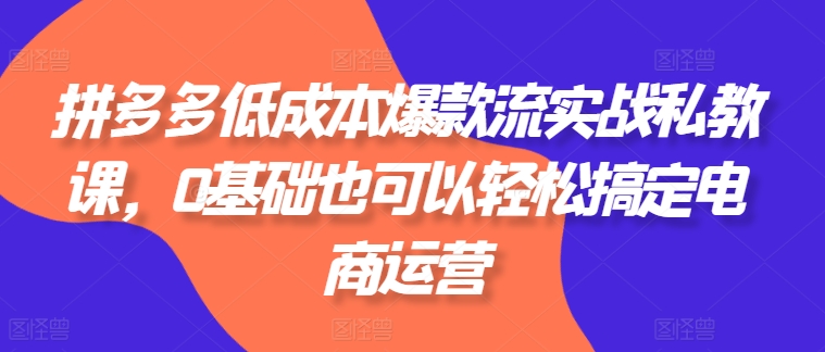 拼多多低成本爆款流实战私教课，0基础也可以轻松搞定电商运营-第一资源站