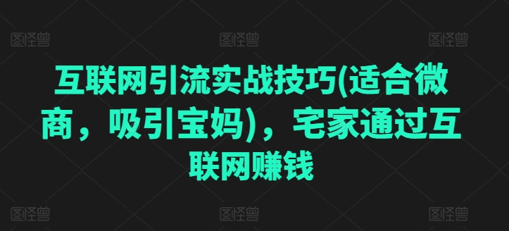 互联网引流实战技巧(适合微商，吸引宝妈)，宅家通过互联网赚钱-第一资源站