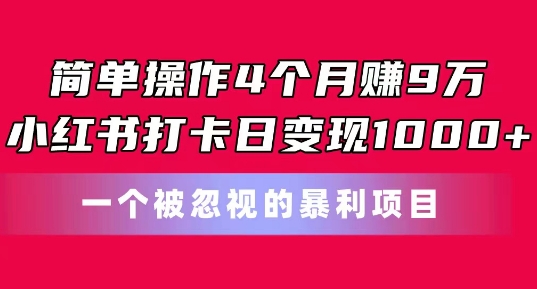 简单操作4个月赚9w，小红书打卡日变现1k，一个被忽视的暴力项目【揭秘】-第一资源站