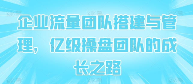 企业流量团队搭建与管理，亿级操盘团队的成长之路-第一资源站