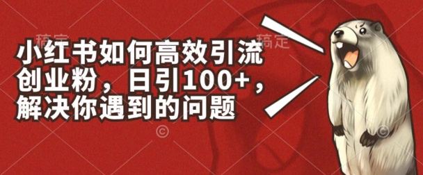 小红书如何高效引流创业粉，日引100+，解决你遇到的问题【揭秘】-第一资源站