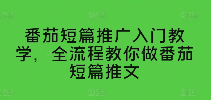 番茄短篇推广入门教学，全流程教你做番茄短篇推文-第一资源站