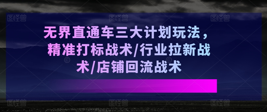 无界直通车三大计划玩法，精准打标战术/行业拉新战术/店铺回流战术-第一资源站