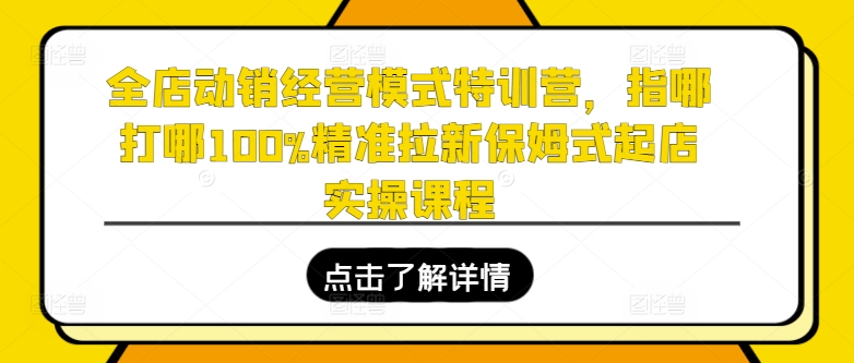 全店动销经营模式特训营，指哪打哪100%精准拉新保姆式起店实操课程-第一资源站