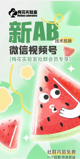 梅花实验室2024年AB技术视频号AB合成破解版-第一资源站