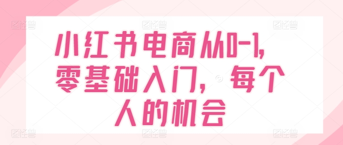 小红书电商从0-1，零基础入门，每个人的机会-第一资源站