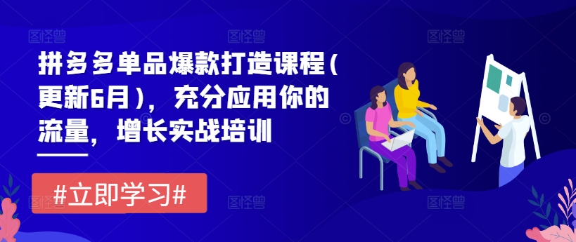 拼多多单品爆款打造课程(更新6月)，充分应用你的流量，增长实战培训-第一资源站