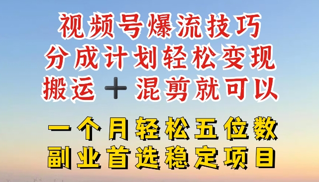 视频号爆流技巧，分成计划轻松变现，搬运 +混剪就可以，一个月轻松五位数稳定项目【揭秘】-第一资源站