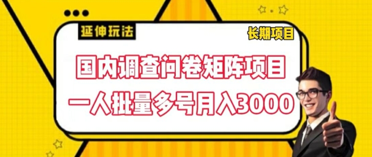 国内调查问卷矩阵项目，一人批量多号月入3000【揭秘】-第一资源站