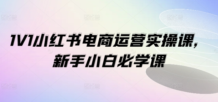 1V1小红书电商运营实操课，新手小白必学课-第一资源站