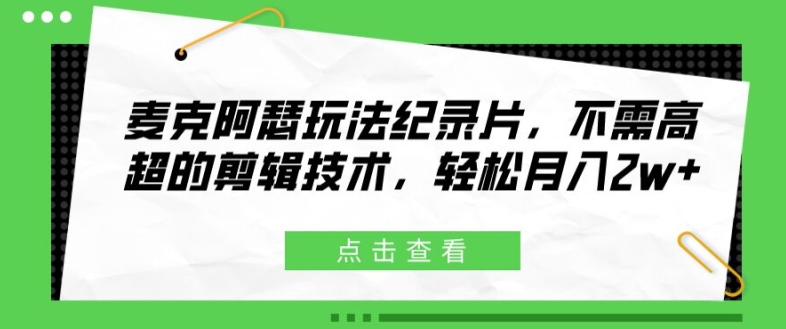 麦克阿瑟玩法纪录片，不需高超的剪辑技术，轻松月入2w+【揭秘】-第一资源站