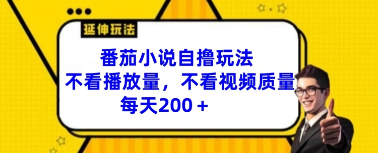 番茄小说自撸玩法，不看播放量，不看视频质量，每天200+【揭秘】-第一资源站