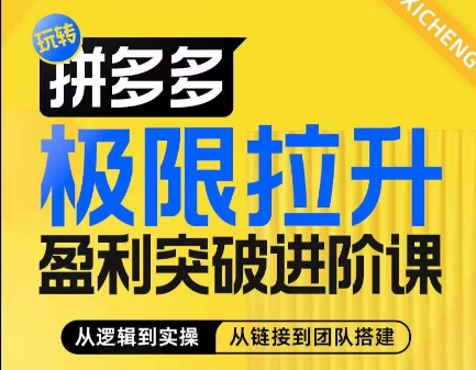 拼多多极限拉升盈利突破进阶课，​从算法到玩法，从玩法到团队搭建，体系化系统性帮助商家实现利润提升-第一资源站