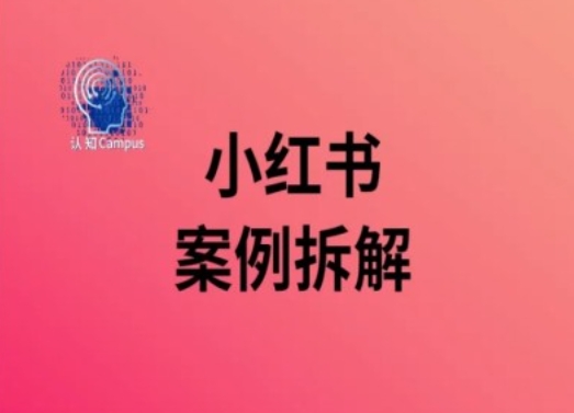 小红书案例拆解，深度解读小红书40万粉-第一资源站