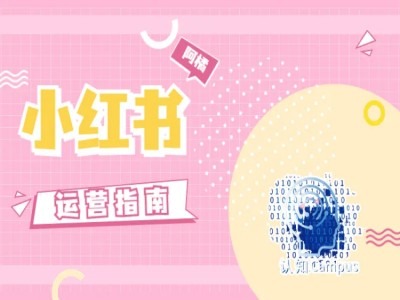小红书运营指南，没有套路，全是经验-第一资源站