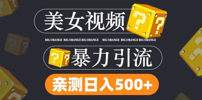 搬运tk美女视频全网分发，日引s粉300+，轻松变现，不限流量不封号【揭秘】-第一资源站