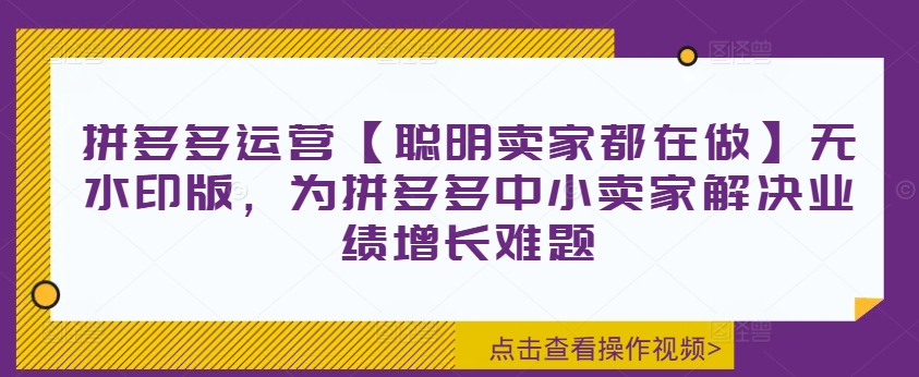 拼多多运营【聪明卖家都在做】无水印版，为拼多多中小卖家解决业绩增长难题-第一资源站